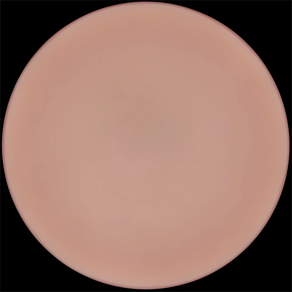 9'' Sliding Skin Pro II Dual Layer Silicone Dong