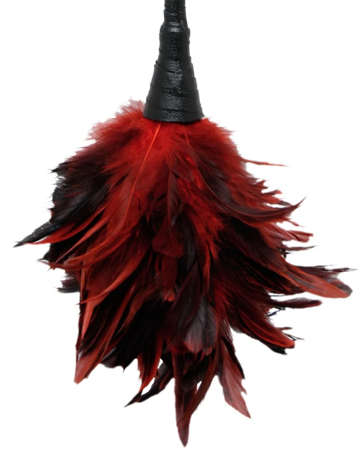 Frisky Feather Duster  Red/Black