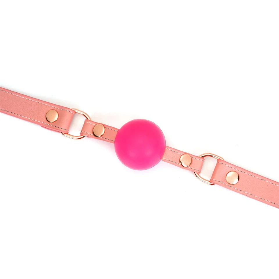 Pink Dream Ball Gag