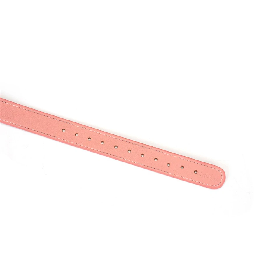 Pink Dream Ball Gag