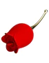 Pretty Love Rose Lover - akkus, nyelves csiklóvibrátor (piros)