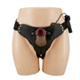 Pretty Love Stark Harness Briefs Brown