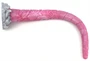 Monster Dildo Tentacrux 43 x 4.5cm