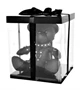 Ours en cuir EDDY The BDSM Teddy Bear Narancs + Boite