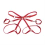 SUBBLIME - piros bilincs bondage övvel, univerzális méret