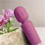 Rechargeable Mini Wand - Peony Pink