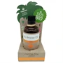 Coconutoil - bio Bronzolaj (80 ml)