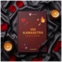 100Moments 100 Kamasutra Challenge - kaparós szexpóz könyv pároknak